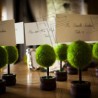 Portatarjetas mini árbol