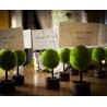 Portatarjetas mini árbol